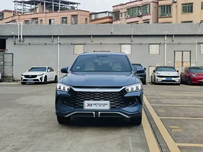 BYD Pro New Energy