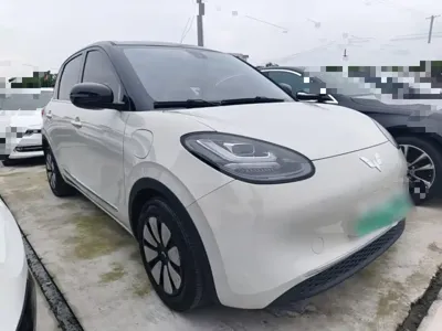 Wuling Bingo