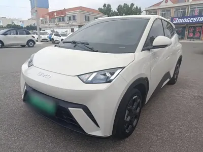 BYD Seagull