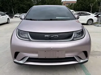 BYD Dolphin