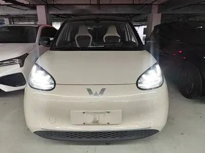 Wuling Bingo