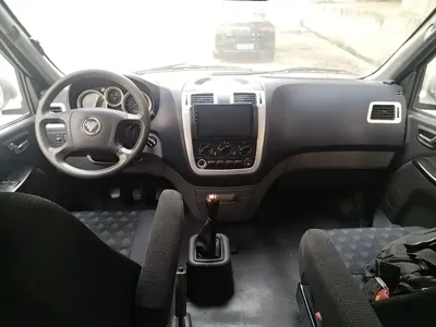 Foton Maverick E