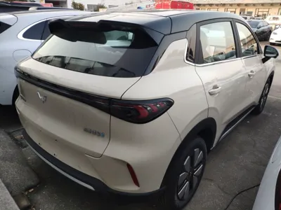 Wuling Bingo S