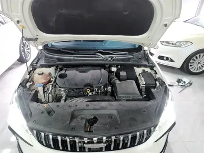 Geely Binrui