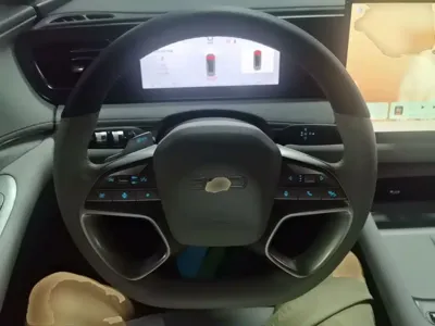 BYD 海狮06