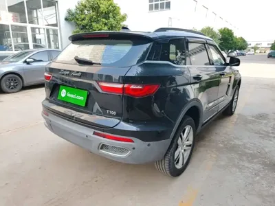 Zotye Zotye T700
