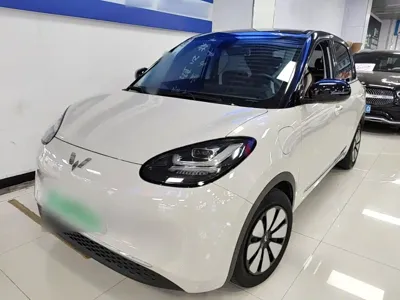 Wuling Bingo