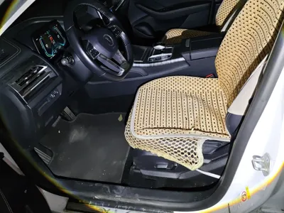 BYD Qin Pro New Energy