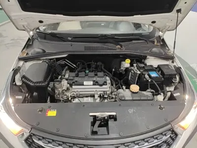 Baojun 310W