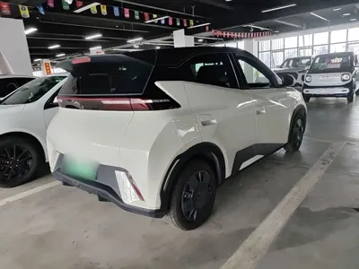 BYD Seagull