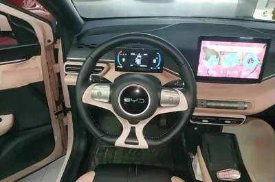 BYD Seagull