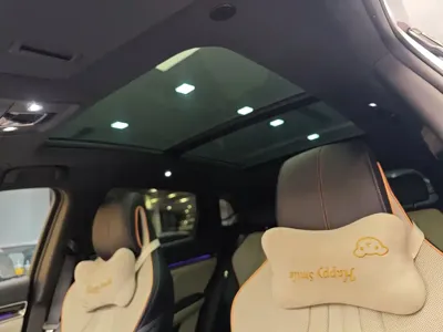 BYD PLUS New Energy