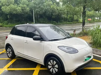 Wuling Bingo