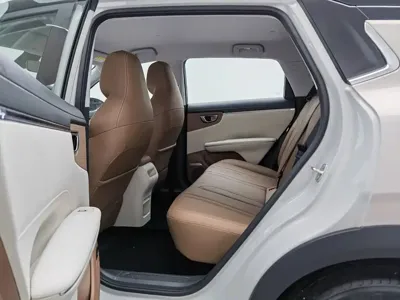 Wuling 缤果S