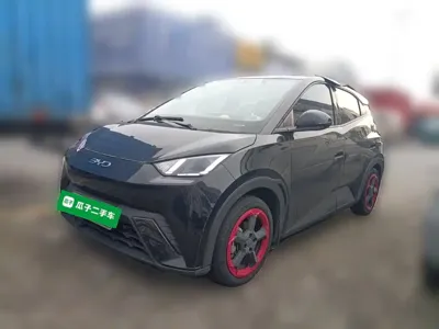 BYD Seagull