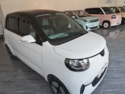 FERRAL EV