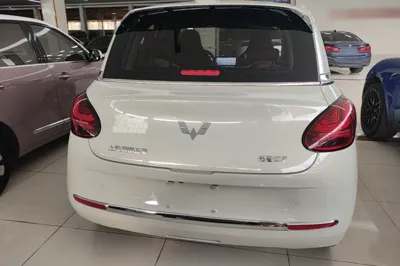 Wuling Bingo