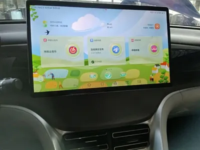 BYD Pro New Energy