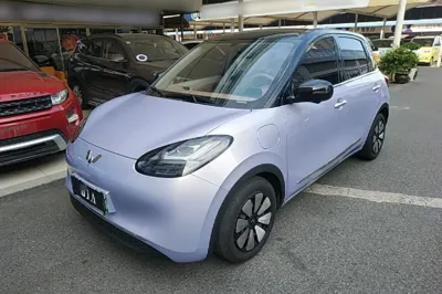 Wuling Bingo