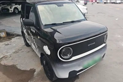 Geely Galaxy Panda