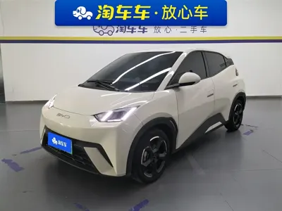 BYD Seagull