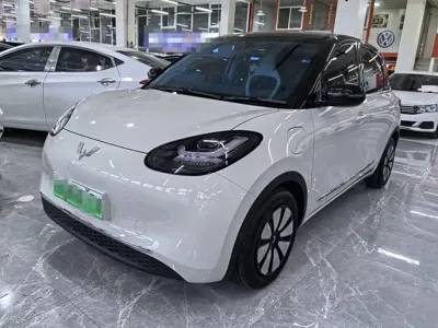 Wuling Bingo