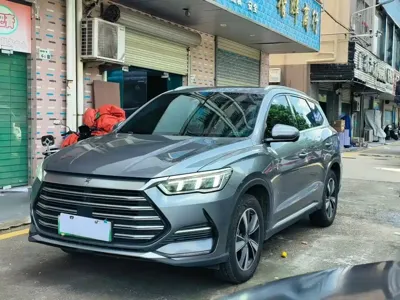 BYD Pro New Energy