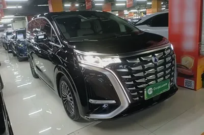 Denza D9