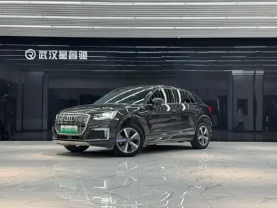 Audi Q2L e-tron