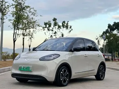 Wuling Bingo