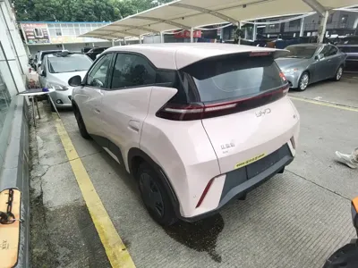 BYD Seagull