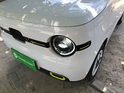 Galaxy Panda
