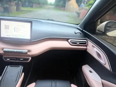 BYD Seagull