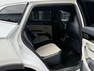 BYD PLUS New Energy