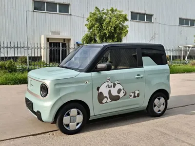 Galaxy Panda