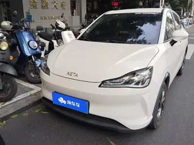 NETA Neta V