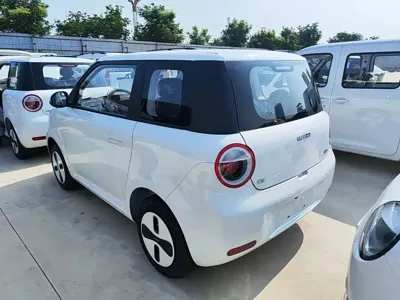 Qiyuan Lumin
