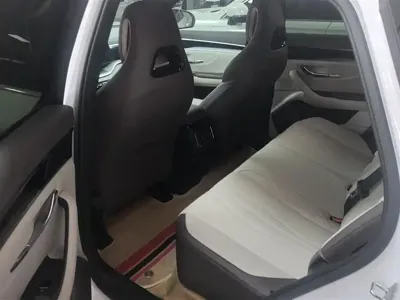 BYD PLUS New Energy