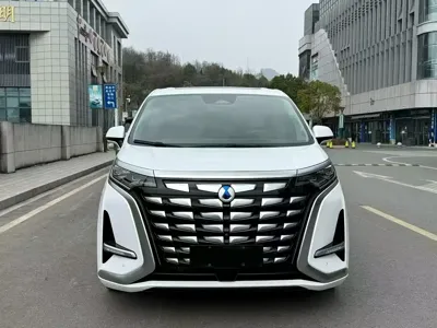 Denza Denza D9