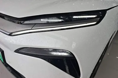 BYD Tang L