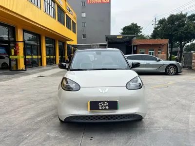 Wuling Bingo