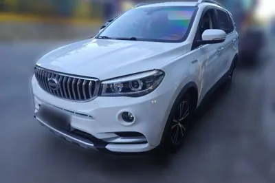 SWM X7