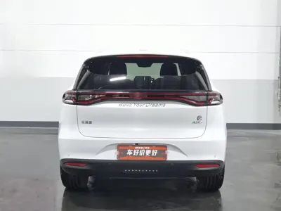 BYD Tang New Energy