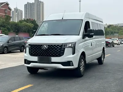 Maxus V80