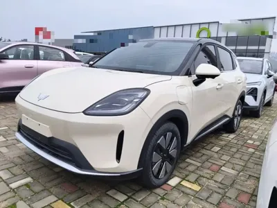 Wuling 缤果S