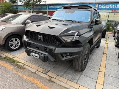 Mengshi Mengshi 917