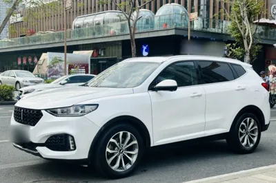 WEY VV6