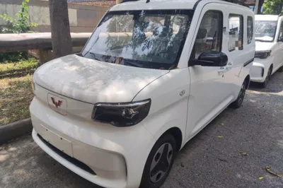 Wuling Zhiguang New Energy