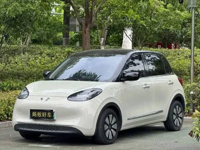 Wuling Bingo