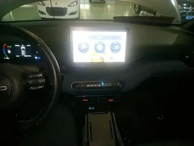 BYD Seagull